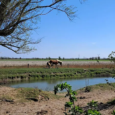 Seewind 노드스트랜드